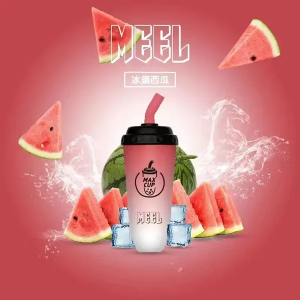 【MEEL奶茶杯】6000口拋棄式小煙｜15ml澎湃巨量Type-C快充｜台灣現貨秒發